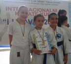 Internacionalni karate KUP “Lukavac 2014″ Zlato za mali kata tim. 